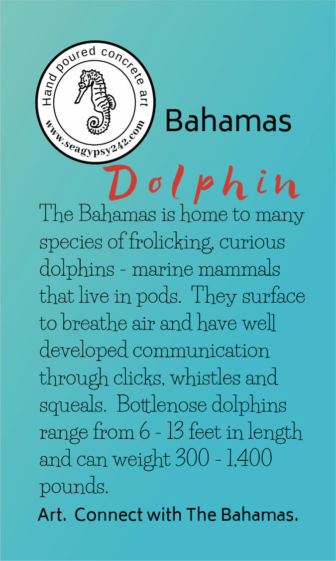 Bahamian dolphin story card